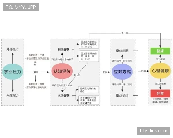 赖斯个人表现如何影响团队成绩：生涯轨迹与作用机制解析