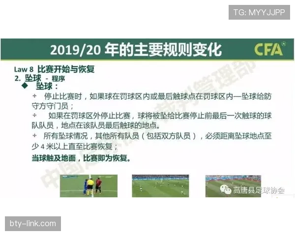 黄牌警告规则解析：关键判罚标准与累积影响机制